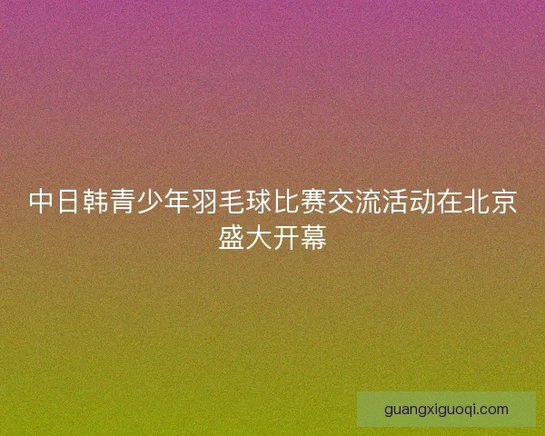 中日韩青少年羽毛球比赛交流活动在北京盛大开幕