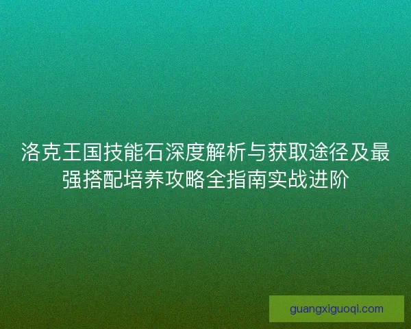 洛克王国技能石深度解析与获取途径及最强搭配培养攻略全指南实战进阶