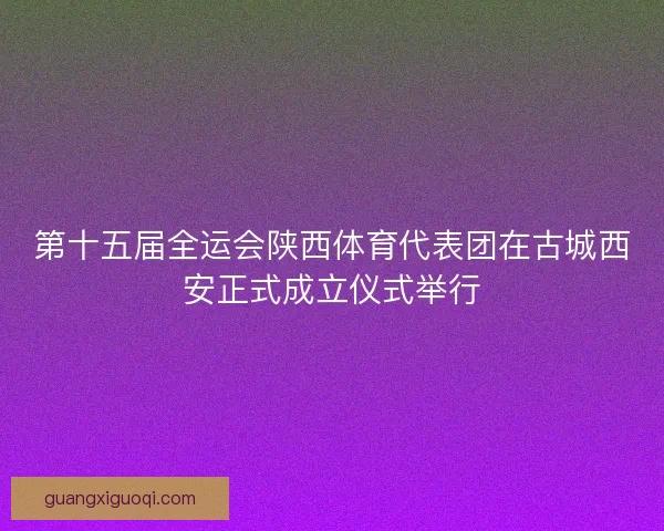 第十五届全运会陕西体育代表团在古城西安正式成立仪式举行